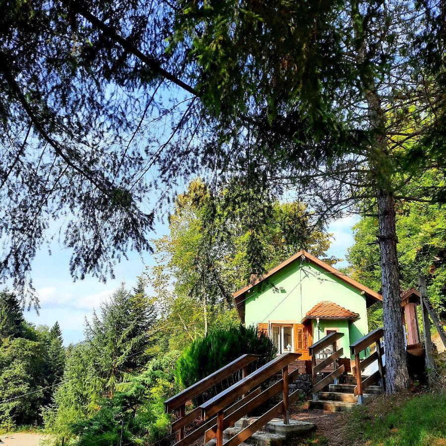 Gite L'Envol Belval (Vosges) Exterior foto